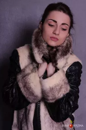 ef1f478297269.png